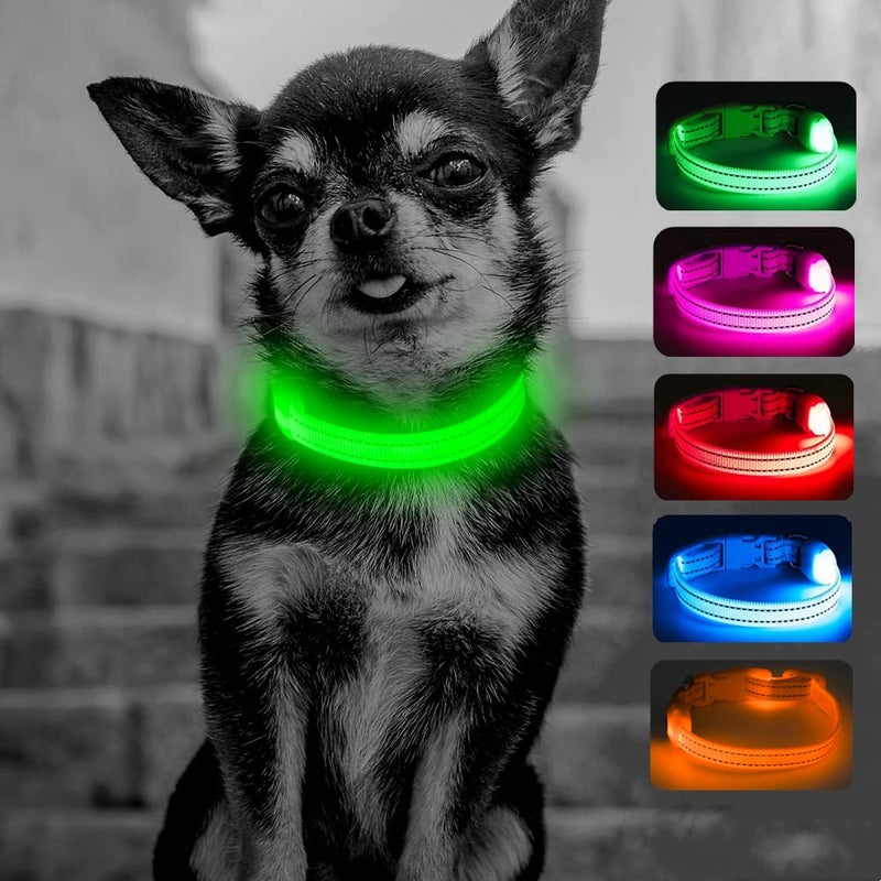 Candofly Light Up Dog Collar - LED Dog Collar Rechargeable - Glowing Puppy Collar Dog Lights for Night Walking (X-Small, Neon Green) - Image 1